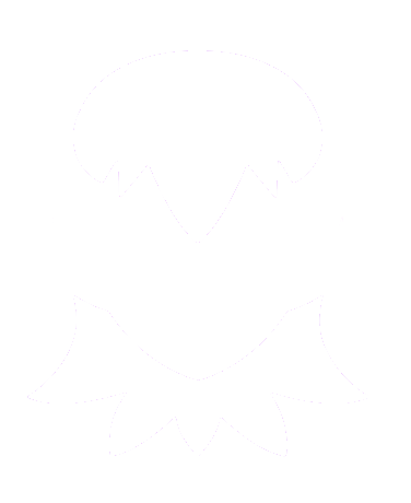 Illusion